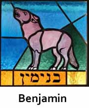 Benjamin copy1.jpg